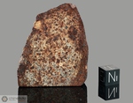 NWA 1268 - Recuperata nel 2002, Erfoud, Morocco, Africa. Chondrite L5. Massa totale recuperata 236 grammi. Pezzo in collezione: fine pezzo gr.67.2 (McM517) 