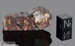 NWA 1270 - Recuperata nel 2002, Erfoud, Morocco, Africa. Chondrite L4/5. Massa totale recuperata 204 grammi. Pezzo in collezione: fetta gr.7.2 (McM510)
