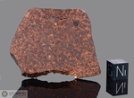 NWA 1276 - Recuperata nel 2002, Erfoud, Morocco, Africa. Chondrite L6. Massa totale recuperata 266 grammi. Pezzo in collezione: fetta gr.23.7 (McM506)