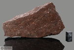 NWA 1778 - Recuperata nel 2002, Dakhla, Marocco, Africa. Chondrite L6. Massa totale recuperata 95 kg. Pezzo in collezione: frammento con faccia pulita gr.698 (McM473)