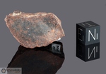 NWA 15675 - Recuperata nel 2019, Erfoud, Morocco, Africa. Chondrite L/LL6. Massa totale recuperata 46.75 grammi. Pezzo in collezione: fine pezzo gr.21.22 (McM755)