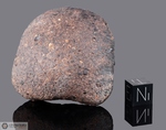 NWA XXX - Recuperata nel 2002, Erfoud, Marocco, Africa. Chondrite L3. Massa totale recuperata 92.3 grammi. Pezzo in collezione: massa maggiore gr.91.6 (McM557) 