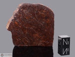 PAMPA B - Recuperata nel 1986, vicino Mejilones, Chile. Chondrite L4/5. Massa totale recuperata 13.2 kg. Pezzo in collezione: fetta gr.34 (McM384)