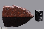 PAMPA D - Recuperata nel 1986, Mejilones, Cile. Chondrite L5. Massa totale recuperata 12.2 kg. Pezzo in collezione: fetta gr.21.1 (McM183) 