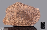 SAHARA 00001 - Recuperata nel Gennaio 2000, Deserto del Sahara, Africa. Chondrite L5. Massa totale recuperata 1.83 kg. Pezzo in collezione: fetta gr.92.9 (McM215) 