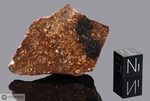 SAHARA 99898 - Recuperata nel 1999, Deserto del Sahara, Africa. Chondrite L5. Massa totale recuperata 207 grammi. Pezzo in collezione: fetta gr.28.2 (McM271)