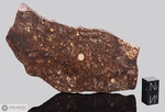 SAYH AL UHAYMIR 001 - Recuperata nel 2000, Sayh Al Uhaymir, Oman. Chondrite L4/5. Massa totale recuperata 408 kg. Pezzo in collezione: fetta gr.66 (McM219) 