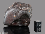 SAYH AL UHAYMIR 067 - Recuperata nel Gennaio 2001, Oman. Chondrite L5/6. Massa totale recuperata 3 kg. Pezzo in collezione: frammento con crosta gr.136 (McM412) 