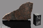 SEIBERT (B) - Recuperata nel 1991, Kit Carson, Colorado, USA. Chondrite L6. Massa totale recuperata 8.6 kg. Pezzo in collezione: fetta gr. 20.9 (McM222) 