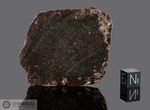 TAGOUNITE 018 - Recuperata nel 1999, Marocco, Africa. Chondrite L4. Massa totale recuperata 12 kg. Pezzo in collezione: fetta gr.41.8 (McM238) 