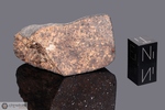 TENHAM - Caduta nel 1879, South Gregory, Queensland, Australia. Chondrite L6 venata. Massa totale recuperata 160 kg. Pezzo in collezione: frammento con crosta e faccia pulita gr.72 (McM554)