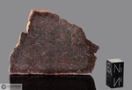 TRYON - Recuperata nel 1934, Contea McPherson, Nebraska, USA. Chondrite L6. Massa totale recuperata 15.9 kg. Pezzo in collezione: fetta gr.30.3 (McM249) 