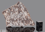 VALERA - Caduta il 15 Ottobre 1972, Trujillo, Venezuela. Chondrite L5. Massa totale recuperata 50 kg. Pezzo in collezione: fetta gr.30.06 (McM351) 