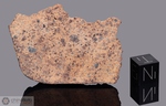 DAR AL GANI 613 - Recuperata nel 1998, Dar Al Gani, Sahara libico, Libia. Chondrite LL4. Massa totale recuperata 566 grammi. Pezzo in collezione: fine pezzo gr.28.3 (McM054)