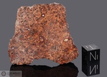 DHOFAR 235 - Recuperata il 14 Marzo 2000, Oman. Chondrite LL5. Massa totale recuperata 394 grammi. Pezzo in collezione: fine pezzo gr.32 (McM433)