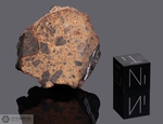 DHOFAR 270 - Recuperata l'11 Aprile 2001, Oman. Chondrite LL5/6 Breccia. Massa totale recuperata 50 grammi. Pezzo in collezione: massa maggiore gr.23 (McM428) 