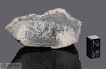 HAMMADAH AL HAMRA 202 - Recuperata nel 1997, Libia, Africa. Chondrite LL6. Massa totale recuperata 386 grammi. Pezzo in collezione: fine pezzo gr.136.2 (McM541) 