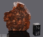 HAMMADAH AL HAMRA 273 - Recuperata nel 2000, Libia, Africa. Chondrite LL6 Breccia. Massa totale recuperata 133 grammi. Pezzo in collezione: massa maggiore gr.44.7 (McM133)