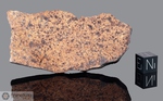 NWA 237 - Recuperata nel 2000, Marocco, Africa. Chondrite LL6. Massa totale recuperata 1800 grammi. Pezzo in collezione: fetta gr.43.9 (McM298) 