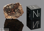 NWA 965 - Recuperata nel 2001, Marocco, Africa. Chondrite LL4. massa totale recuperata 19.2 grammi. Pezzo in collezione: fetta gr.0.8 (McM437) 