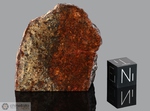 NWA 1809 - Recuperata nel 2002, Erfoud, Marocco, Africa. Chondrite LL6. Massa totale recuperata 214 grammi. Pezzo in collezione: massa maggiore gr.57.3 (McM559) 