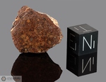 NWA 2045 - Recuperata nel 2003, Erfoud, Marocco, Africa. Chondrite LL3. Massa totale recuperata 19 grammi. Pezzo in collezione: massa maggiore gr.8.2 (McM627) 