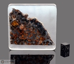 BRAHIN - Recuperata nel 1810, Minsk, Gonel Province, Bielorussia, Russia. Pallasite. Massa totale recuperata 823 kg. Pezzo in collezione: fetta gr.53.2 (McM016)