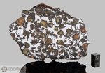NWA 15428 - Recuperata nel 2022,Marocco, Africa. Pallasite. Massa totale recuperata 1800 grammi. Pezzo in collezione: fetta gr.96.4 (McM772)