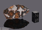 QUIJINGUE - Recuperata nel 1984, Bahia, Brasile. Pallasite. Massa totale recuperata 59 kg. Pezzo in collezione: fetta gr.9 (McM316)