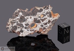 SEYMCHAN - Recuperata nel 1967, Seymchan, Distretto Magadan, Russia. Pallasite.Massa totale recuperata 362.3 kg. Pezzo in collezione: fine pezzo con buco gr.36.5 (McM620) 