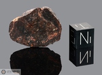 NWA 079 - Recuperata nel 2000, Marocco, Africa. Condrite H5. Massa totale 2.35 kg. Campione in collezione: fine pezzo gr.10.4 - McM278