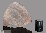 NWA 4428 - Recuperata nel 2006, Marocco, Africa. Condrite H4. Massa totale 301  grammi. Campione in collezione: fine pezzo con crosta gr. 53.6 - McM037