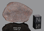 NWA 4428 - Found 2006, Morocco, Africa. Chondrite H4. Total mass 301 grams. - Slice gr.8.285 - € 16,57