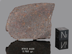 NWA 4428 - Found 2006, Morocco, Africa. Chondrite H4. Total mass 301 grams. - Slice gr.9.782 - € 19,56