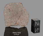 NWA 4428 - Found 2006, Morocco, Africa. Chondrite H4. Total mass 301 grams. - Slice gr.13.9 - € 27,80