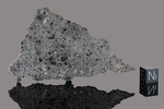 NEA 089 - Recuperata nel 2025, Morocco, Africa. Achondrite Troctolite Anorthosite Lunar. Total mass 9 kg. Slice gr.18.948 - € 700,00