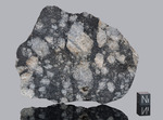 NWA 16311 - Found 2023, Morocco, Africa. Achondrite eucrite melt breccia. Total mass 1330 grams. - Slice gr.62.36 - € 250,00