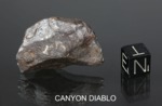 CANYON DIABLO - Found 1891, Coconino County, Arizona, USA. Iron Octahedrite IA. Total mass 30 tons +. - Fragment gr.21.6 - € 58,81