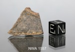 NWA 1557 