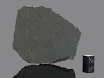 NWA 16790 - Found 2023, Algeria, Africa. Carbonaceous chondrite CK5. Total mass approximately 9 kg. Slice gr.32.014 - € 300,00