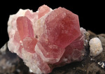 PEZZOTTAITE - Sakavalana mine, Ambatovita, Mandrosonoro Commune, Ambatofinandrahana District, Amoron'i Mania Region, Fianarantsoa Province, Madagascar   Campione di 28,80x32,68 mm con gruppo di  cristalli di Pezzottaite di 13,82 mm - € 1.750,00