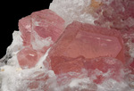 PEZZOTTAITE - Sakavalana mine, Ambatovita, Mandrosonoro Commune, Ambatofinandrahana District, Amoron'i Mania Region, Fianarantsoa Province, Madagascar   Campione di 28,80x32,68 mm con gruppo di  cristalli di Pezzottaite di 13,82 mm - € 1.750,00