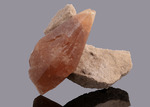 Calcite - France Stone Co. Quarry, Bellevue, Sandusky County, Ohio, USA - Campione di 115,14 x 90,19 mm cristallo 85,60 mm - € 40,00