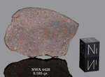 NWA 4428 - Found 2006, Morocco, Africa. Chondrite H4. Total mass 301 grams. - Slice gr.6.585 - € 13,17