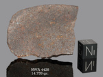 NWA 4428 - Found 2006, Morocco, Africa. Chondrite H4. Total mass 301 grams. - Slice gr.14.739 - € 29,47