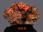 Crocoite - Adelaide Mine, Dundas mineral field, Zeehan District, Tasmania, Australia - Campione di 104.76x78.48 com area cristallizzata di 67.60 mm - € 100,00  