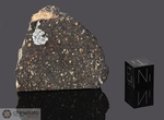 NWA 1807 - Recuperata nel 2002, Marocco, Africa. Chondrite Carbonacea CV3. Massa totale recuperata 274 grammi. Pezzo in collezione: massa maggiore gr.54.4 (McM555)