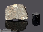 NWA 2180 - Recuperata nel 2003, Marocco, Africa. Chondrite Carbonacea CV3. Massa totale recuperata 369.3 grammi. Pezzo in collezione: fetta gr.8.9 (McM592)