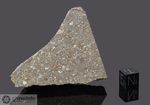 NWA 3214 - Recuperata nel 2005, Marocco, Africa. Chondrite Carbonacea CV3. Massa totale recuperata 435.2 grammi. Pezzo in collezione: massa maggiore gr.79.4 (McM511)