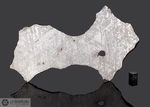 GIBEON - Recuperata nel 1836, Great Nama Landa, Namibia, Africa. Siderite Octahedrite IVA. Massa totale recuperata oltre le 26 tonnellate. Pezzo in collezione:fetta gr.227.4 (McM566)